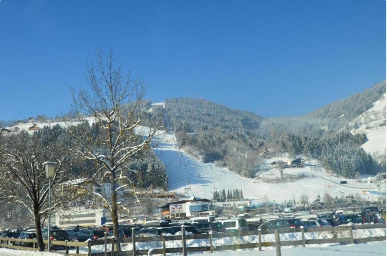 Alpine Lodge Apartment Цел ам Зее Екстериор снимка