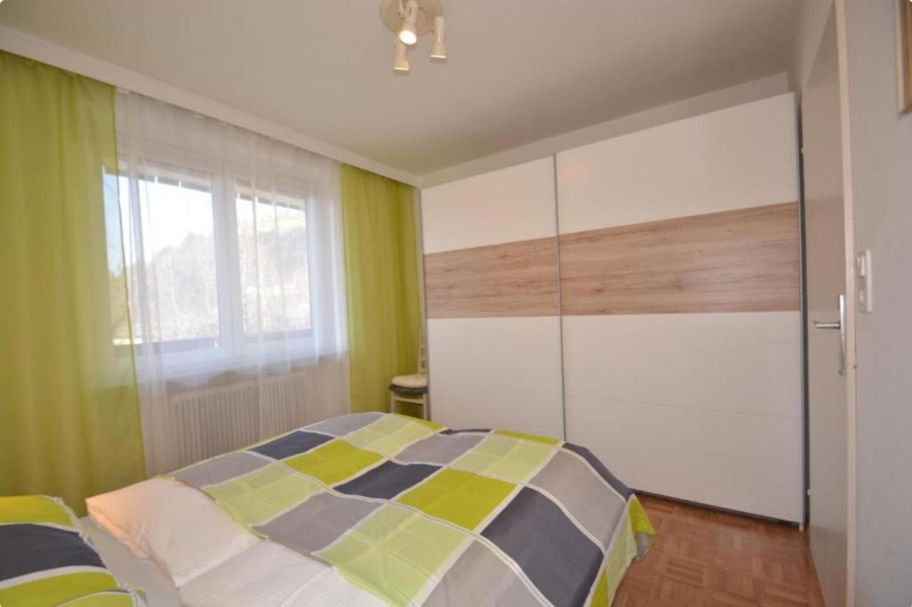 Alpine Lodge Apartment Цел ам Зее Екстериор снимка